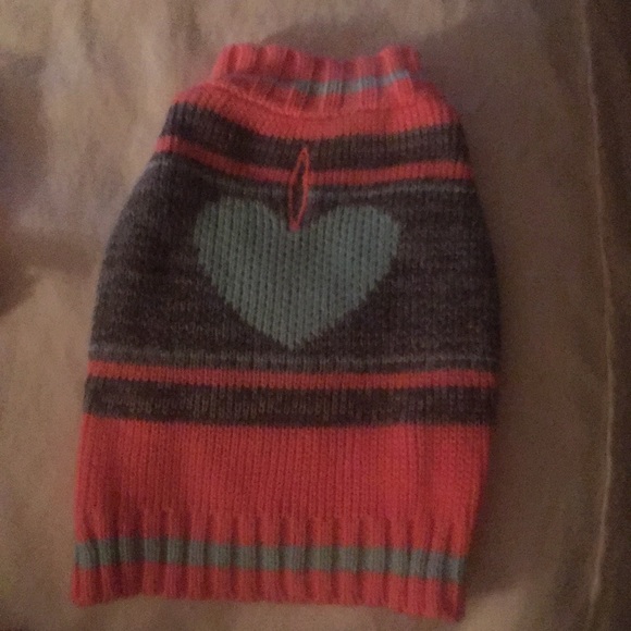 NEW Small dog leash, sweater and 2 collars - Picture 4 of 5